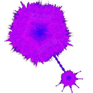 Dersefull.png